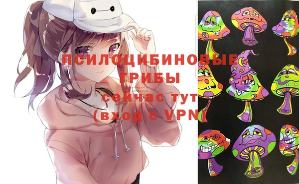 герыч Абаза