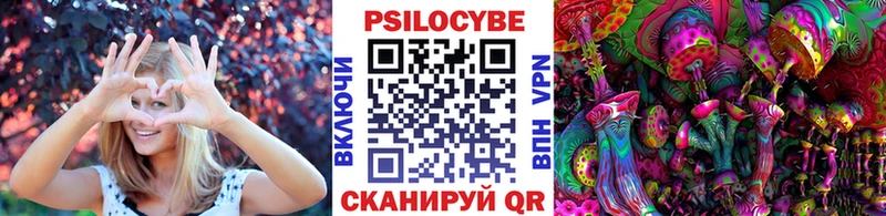 Псилоцибиновые грибы GOLDEN TEACHER Ладушкин