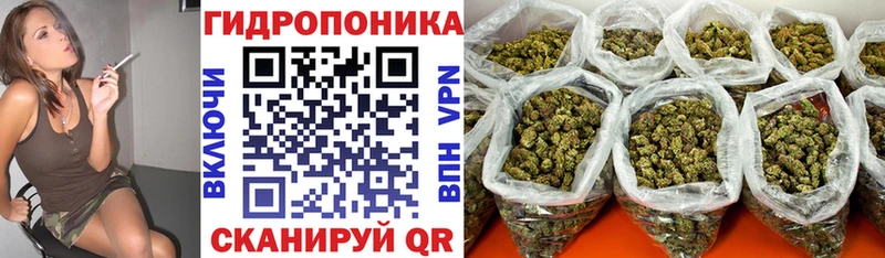 KRAKEN ONION Ладушкин Канабис ГИДРОПОН